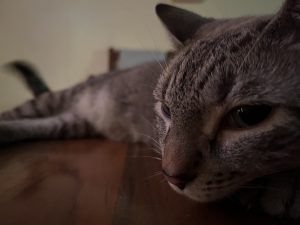 img 1075