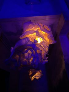 img 1171
