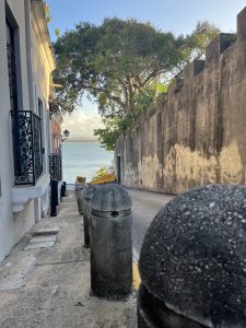 img 3981