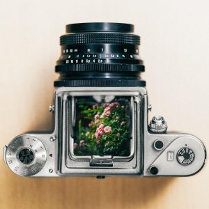 film, flower background, nature, beautiful flowers, camera, pentacon, flower wallpaper, medium format, flower, tumblr wallpaper