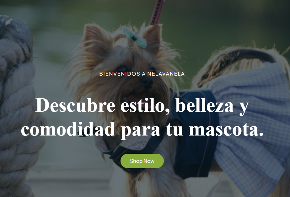 Sitio web de Anlián Marín