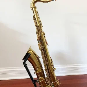 Saxofon tenor en stand.